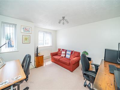 Picture 20